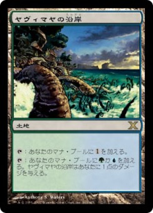 若者に人気のブランド Yavimaya Coast (JA) - Foil - LaughingDragonMTG マジック：ザ・ギャザリング