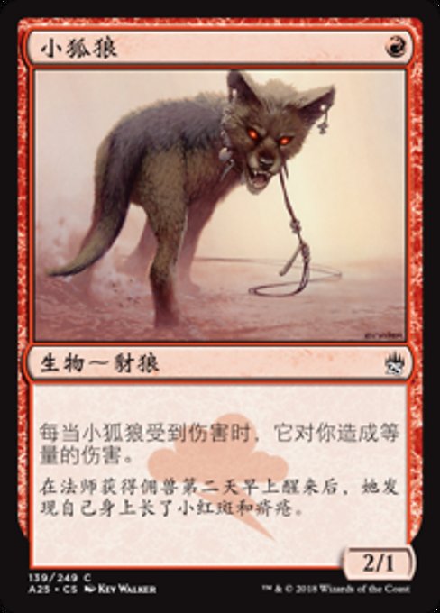 その他 L GEAR SOLID Trading Card JACKAL 047 METAL GEAR SOLID Trading Card JACKAL 047 【公式通販】