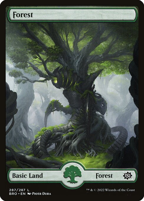 deadeye promo card mtg Forest [291] [Full Art] [Dragon's Eye] [Tarkir: Dragonstorm] [Foil] – Face  to Face Games main image 0